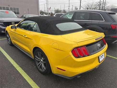 Used 2016 Ford Mustang Premium w/ Equipment Group 201A image 3