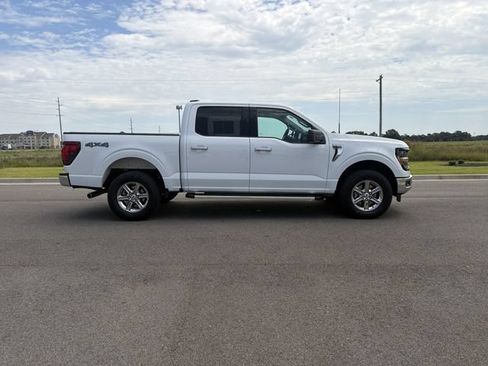 Used 2025 Ford F150 XLT w/ Equipment Group 301A Standard AWD/4WD image 6