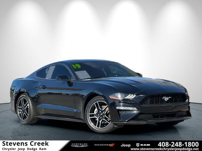 Used 2019 Ford Mustang Coupe w/ Equipment Group 101A