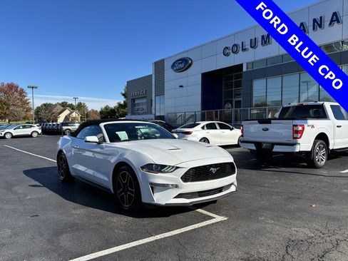 Certified 2020 Ford Mustang Premium image 1