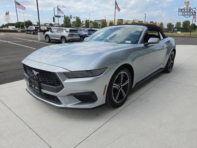 Used 2025 Ford Mustang Premium