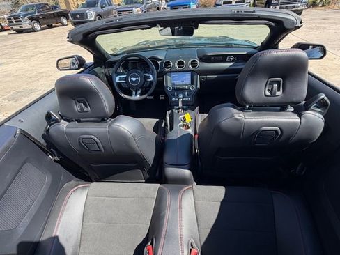 Used 2019 Ford Mustang GT Premium w/ Equipment Group 401A image 8