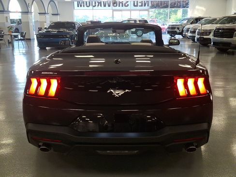 Used 2025 Ford Mustang Convertible RWD image 5