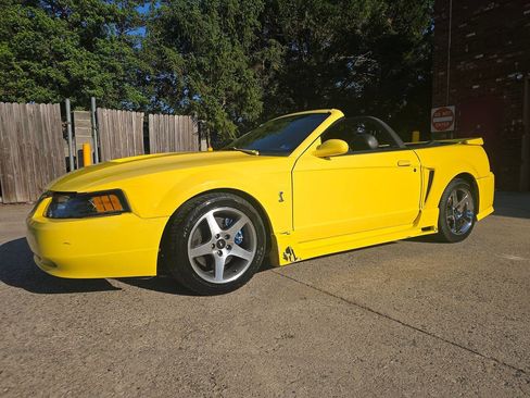 Used 2001 Ford Mustang Cobra RWD image 43