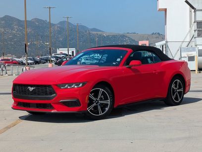Used 2024 Ford Mustang Premium