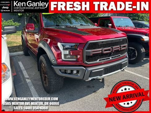 Used 2019 Ford F150 Raptor w/ Equipment Group 802A Luxury AWD/4WD image 1