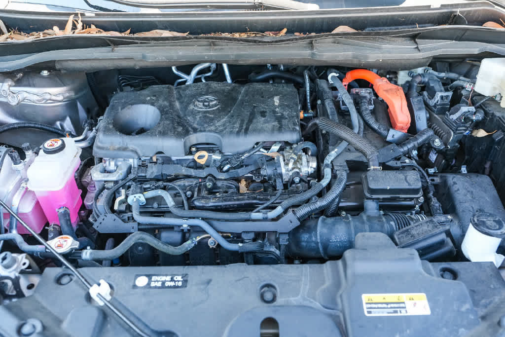 Certified 2024 Toyota Sienna XLE w/ XLE Plus Package AWD/4WD image 28