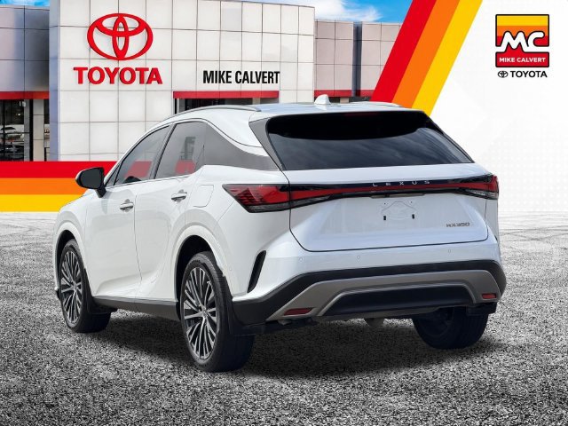 Used 2024 Lexus RX 350 Premium Plus w/ Convenience Package FWD image 6