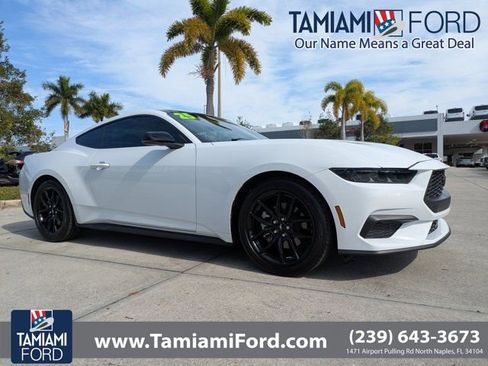 Certified 2025 Ford Mustang Premium image 1