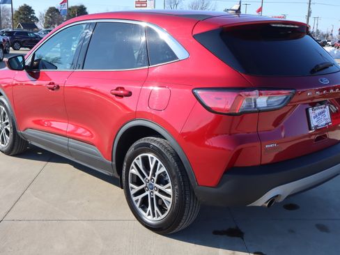 Used 2022 Ford Escape SEL image 7