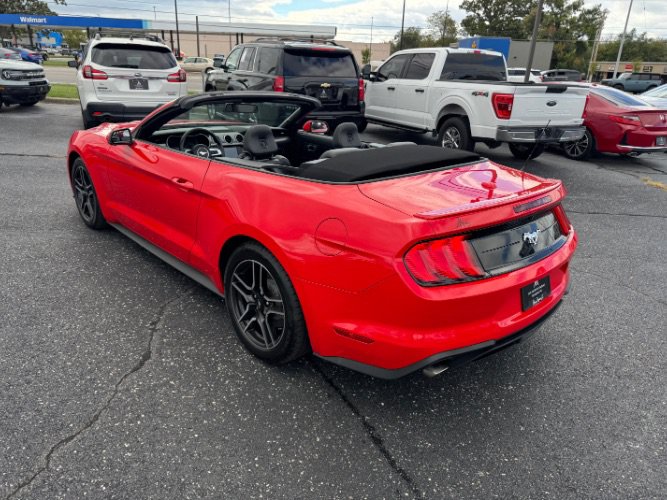 Used 2018 Ford Mustang Premium w/ Equipment Group 201A RWD image 3