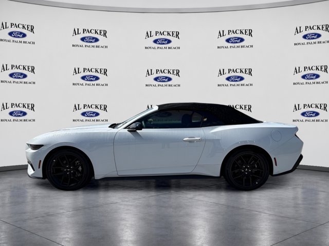 New 2026 Ford Mustang Convertible w/ Mustang Nite Pony Package RWD image 10