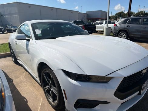 Used 2025 Ford Mustang Premium RWD image 5
