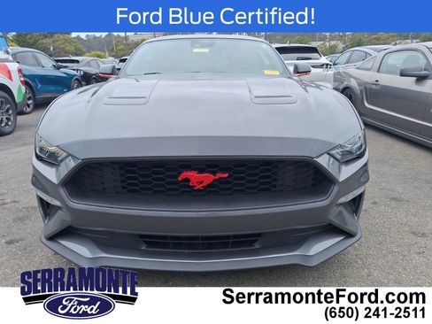 Used 2021 Ford Mustang Coupe w/ Equipment Group 101A RWD image 2