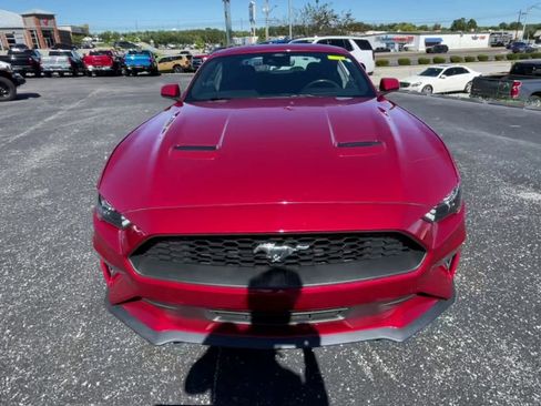 Used 2021 Ford Mustang Coupe w/ Equipment Group 101A image 4