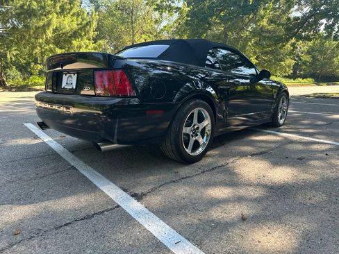 Used 2003 Ford Mustang Cobra RWD image 9