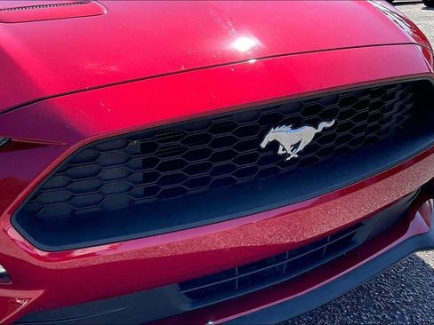 Certified 2021 Ford Mustang Coupe w/ Equipment Group 101A RWD image 28