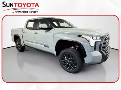 New 2026 Toyota Tundra Platinum