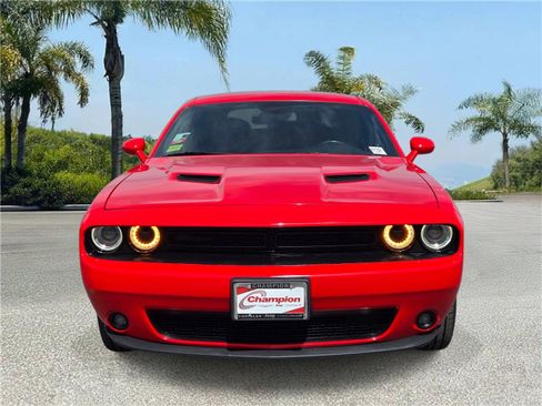 Certified 2019 Dodge Challenger SXT w/ Blacktop Package image 3