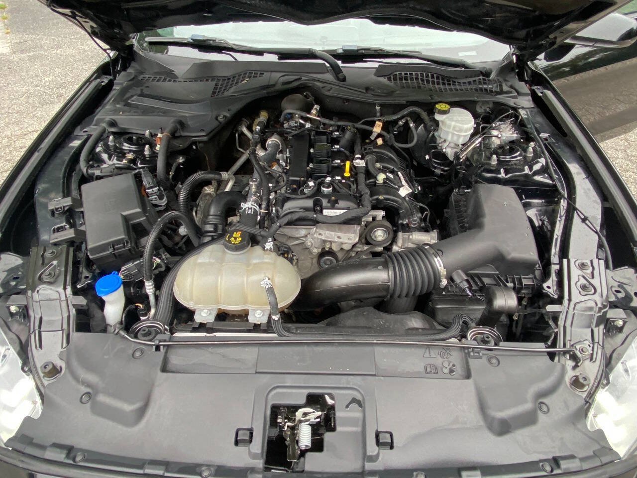 Used 2021 Ford Mustang Premium RWD image 47