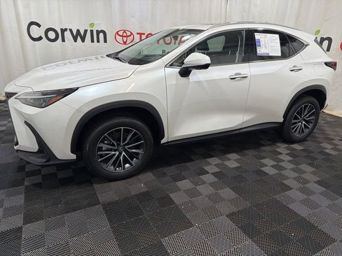 Used 2025 Lexus NX 350h AWD w/ Cold Area Package image 4