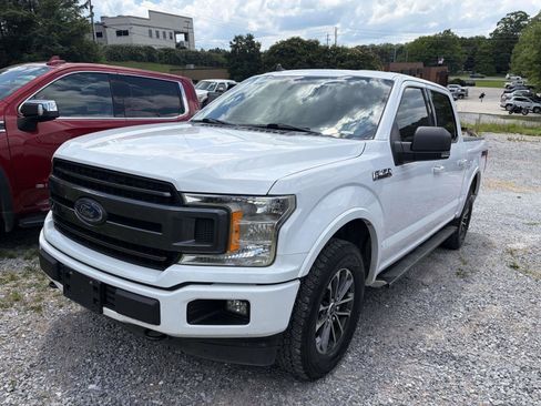 Used 2019 Ford F150 XLT w/ Equipment Group 302A Luxury AWD/4WD image 3