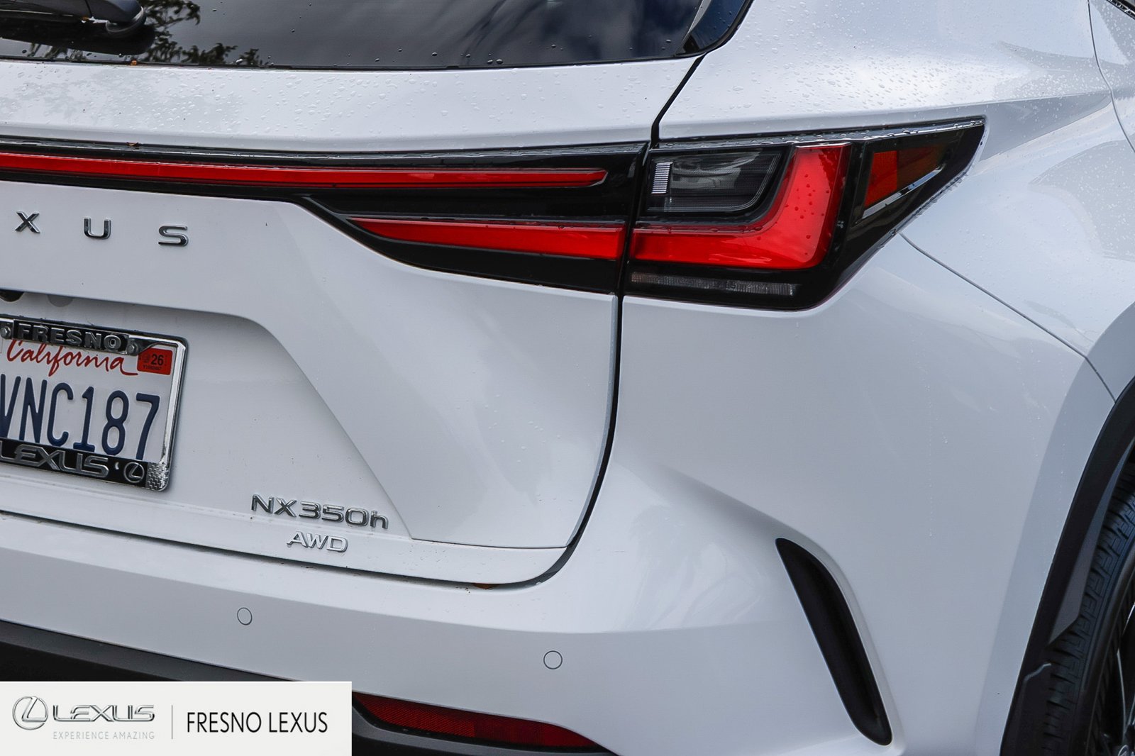 Certified 2026 Lexus NX 350h AWD w/ Accessory Package (2T) image 7