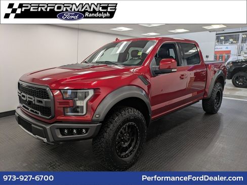 Used 2019 Ford F150 Raptor w/ Equipment Group 802A Luxury image 1