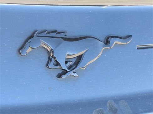 Used 2022 Ford Mustang Premium w/ Equipment Group 201A image 8