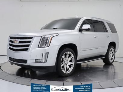 Used 2019 Cadillac Escalade Luxury