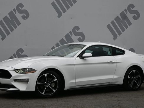 Used 2020 Ford Mustang Coupe w/ Equipment Group 101A RWD image 1