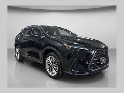 Used 2025 Lexus NX 350h AWD w/ Cold Area Package