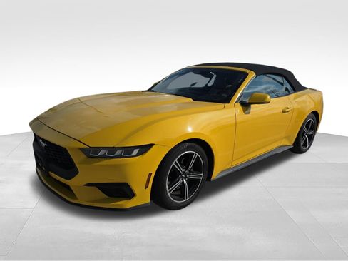 Used 2024 Ford Mustang Premium RWD image 1