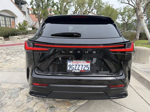 Used 2024 Lexus NX 250 FWD w/ Cold Area Package image 4