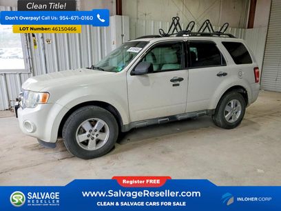 Used 2010 Ford Escape XLT