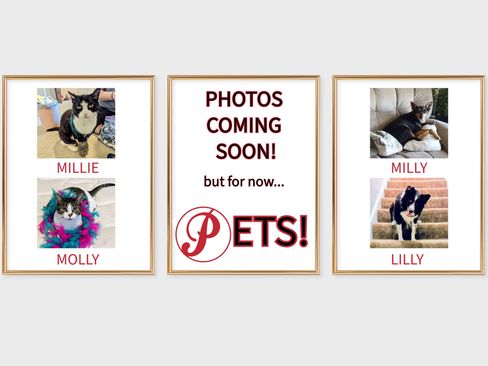 Used 2022 Ford Transit 350 XLT image 11