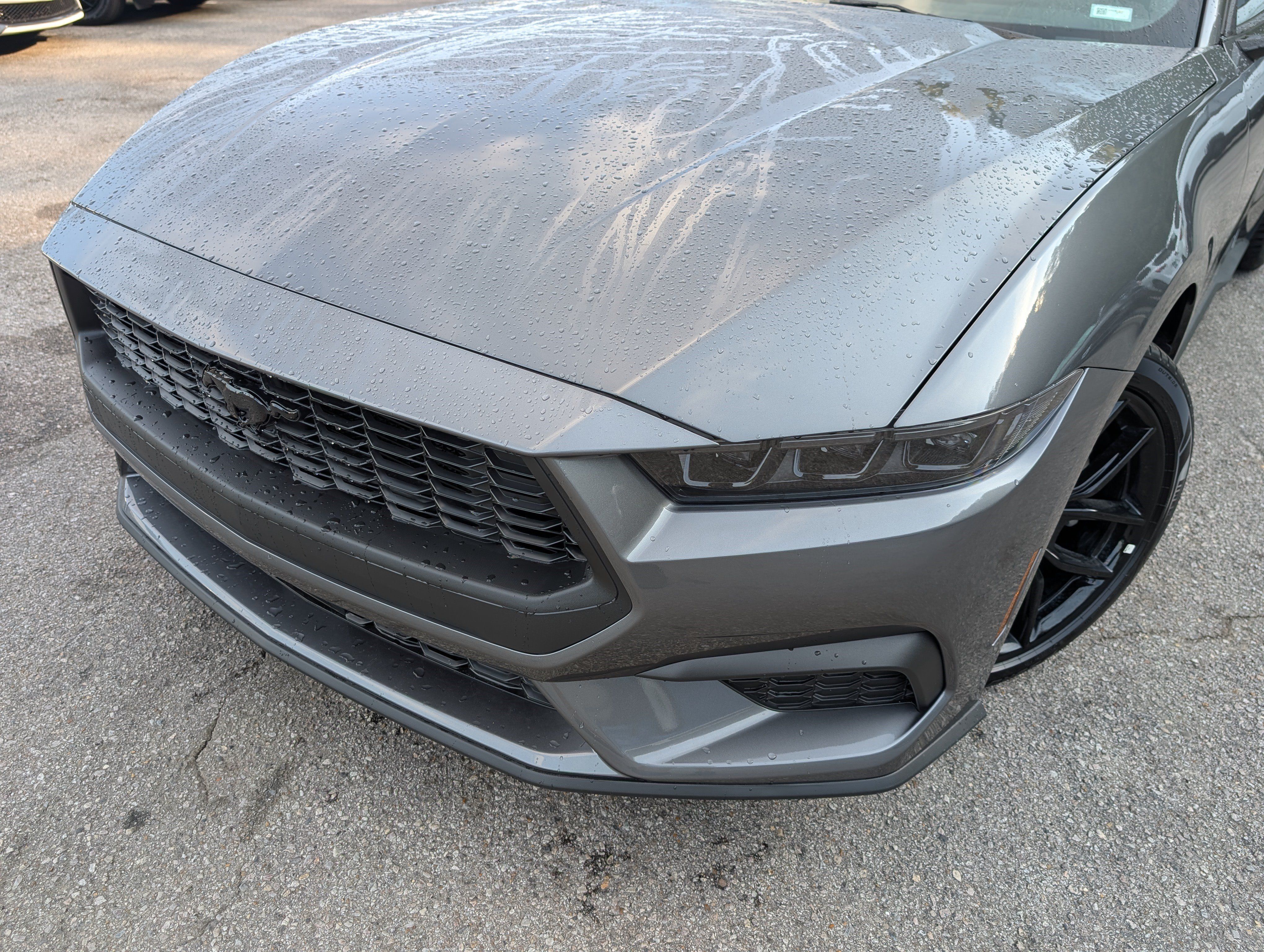 Used 2026 Ford Mustang Coupe w/ Mustang Nite Pony Package RWD image 13