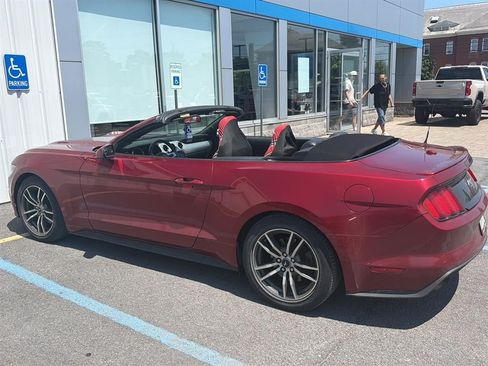 Used 2016 Ford Mustang Premium RWD image 5