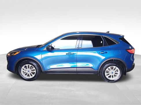 Used 2022 Ford Escape SE AWD/4WD image 3
