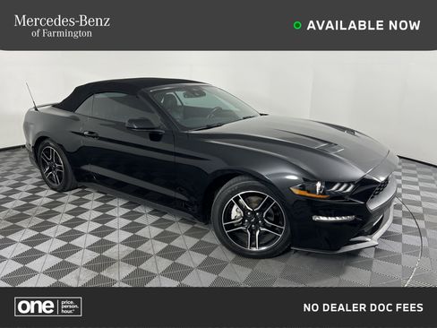 Used 2022 Ford Mustang Premium image 1