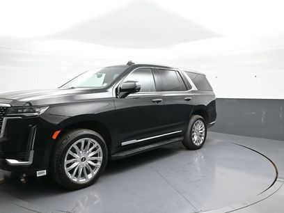 Used 2024 Cadillac Escalade Premium Luxury