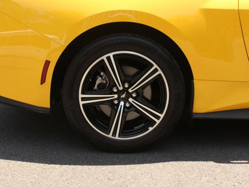 Used 2024 Ford Mustang Premium RWD image 5