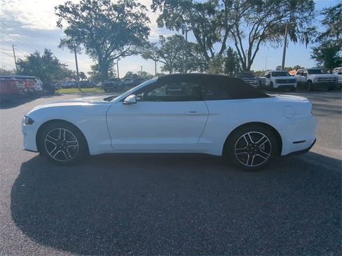 Used 2021 Ford Mustang Premium image 8