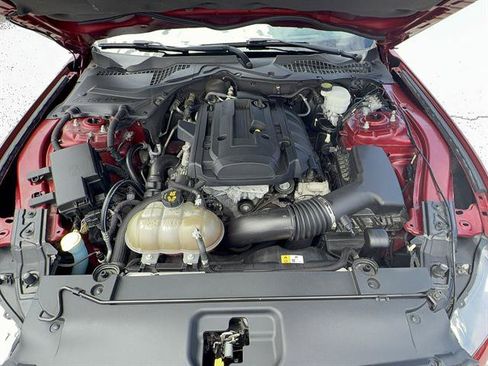 Used 2015 Ford Mustang Premium w/ Equipment Group 201A RWD image 24