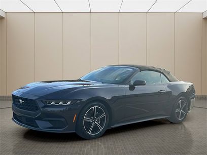 Used 2024 Ford Mustang Premium