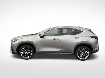 Used 2025 Lexus NX 350 AWD w/ Cold Area Package