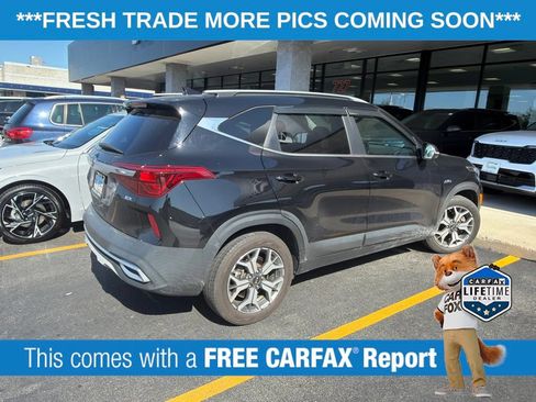 Used 2021 Kia Seltos EX AWD/4WD image 4