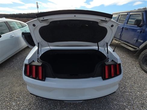 Used 2017 Ford Mustang Premium image 13