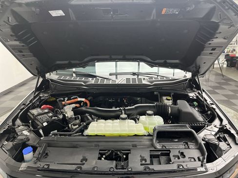 New 2025 Ford F150 XLT w/ Equipment Group 302A MID image 28