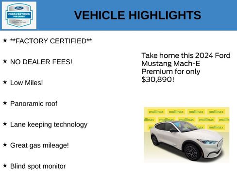 Used 2024 Ford Mustang Mach-E Premium RWD image 11